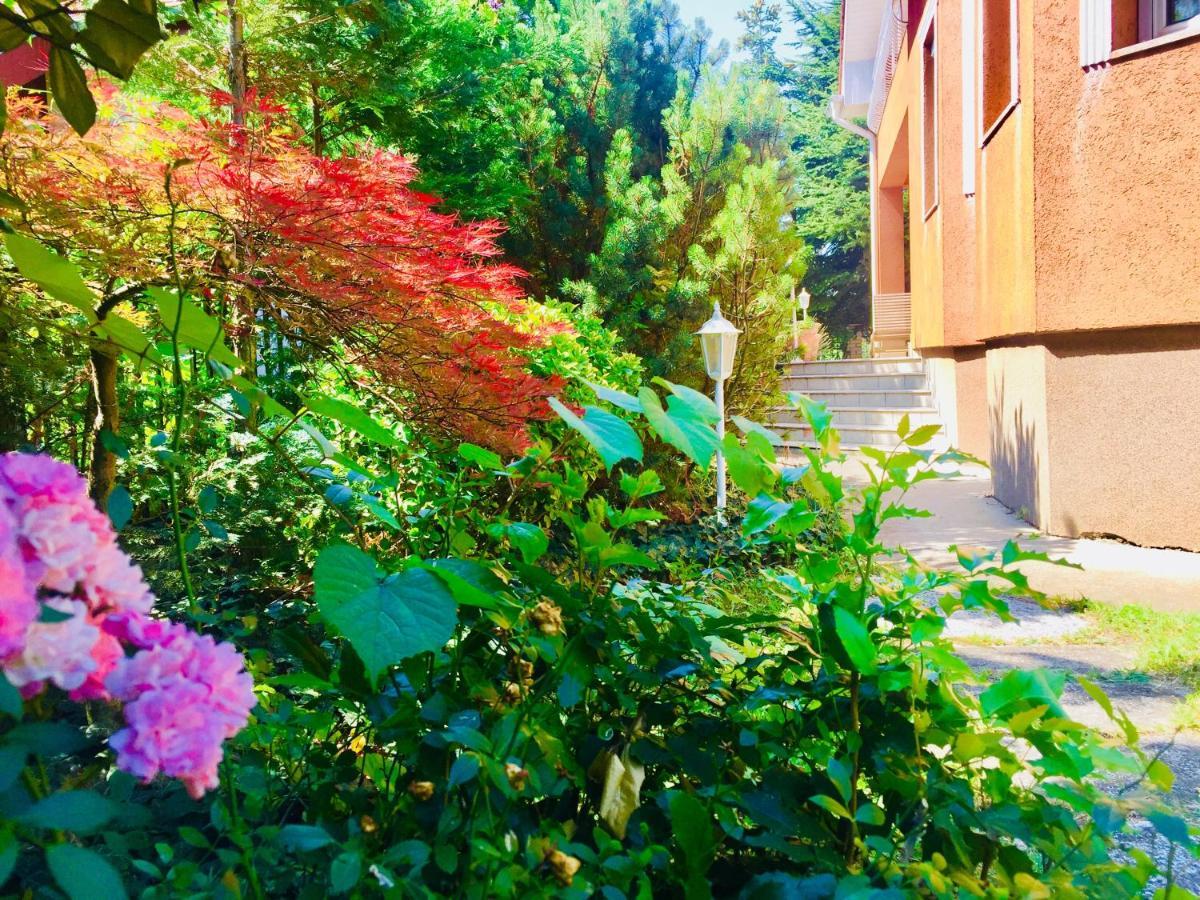 Apollo Inn ヴァレンツァ エクステリア 写真